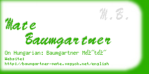 mate baumgartner business card